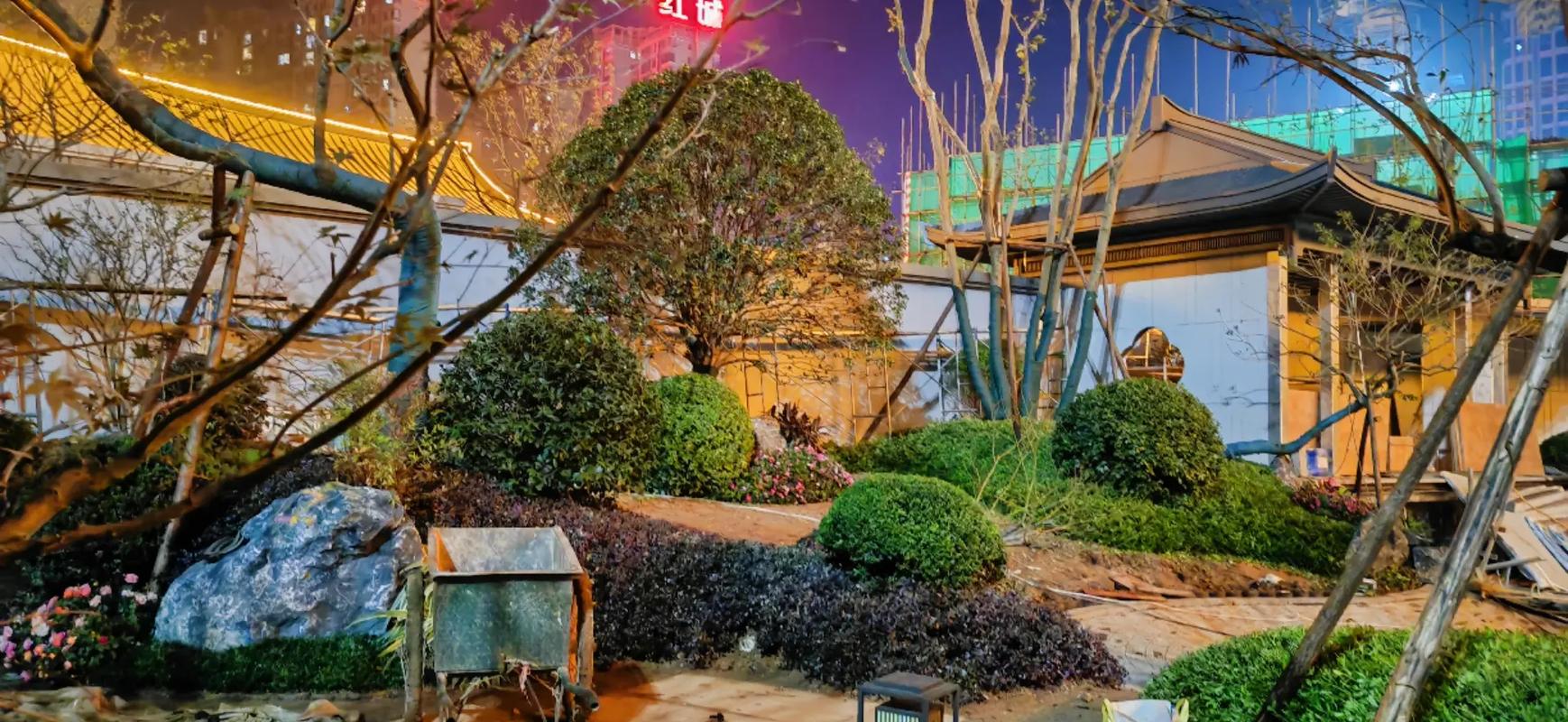 夜色中的绿意 小区角落里涌动着的奋斗之光